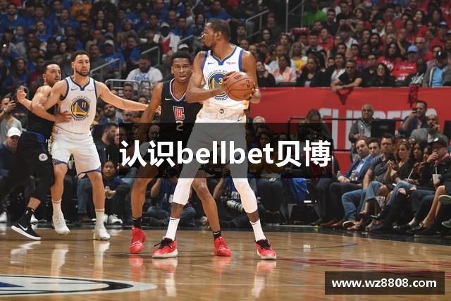 认识bellbet贝博